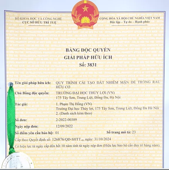 Quy trình cải tạo đất nhiễm mặn để trồng rau hữu cơ-giải pháp hữu ích
