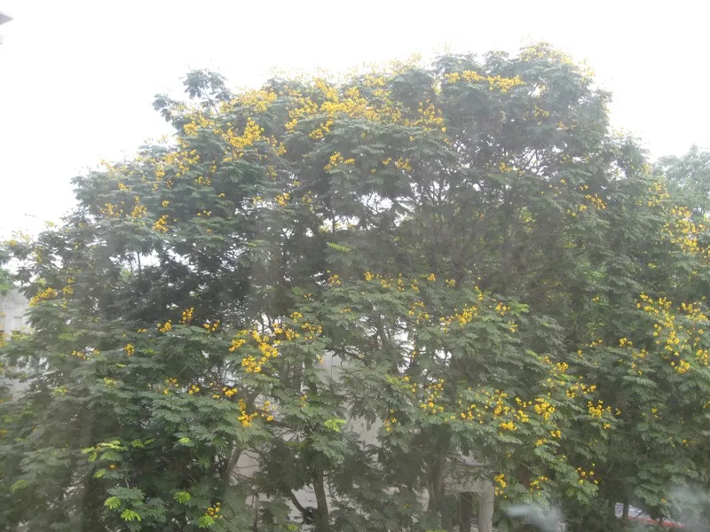 Thủy Lợi trong tôi