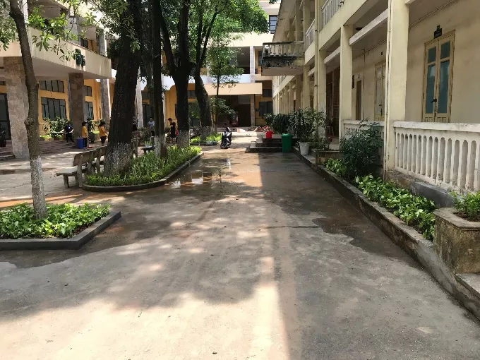 Công trình “Vườn hoa thanh niên TLU”
