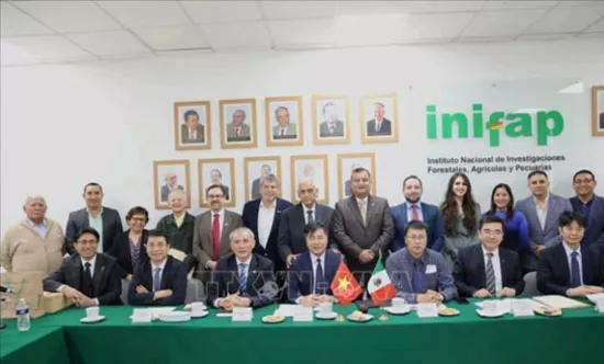 Thúc đẩy hợp tác nông nghiệp Việt Nam – Mexico theo hướng thực chất, bền vững, tăng cường liên kết đào tạo và bảo đảm an ninh nguồn nước